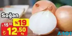 SOĞAN KURU KG SOĞAN KURU KG